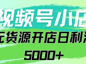 视频号无货源小店从0到1日订单量千单以上纯利润稳稳5000+【揭秘】