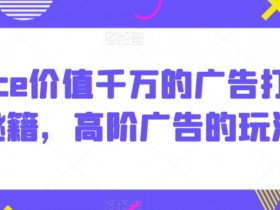 Alice价值千万的广告打法秘籍，高阶广告的玩法