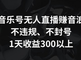 音乐号无人直播赚音浪，不违规、不封号，1天收益300+【揭秘】