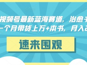 抖音&视频号最新蓝海赛道，治愈书籍带货，一个月带货上万+本书，月入2万＋【揭秘】