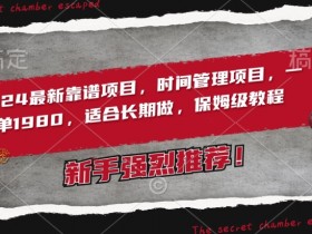 2024最新靠谱项目，时间管理项目，收徒一单1980，适合长期做，保姆级教程【揭秘】