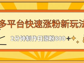 多平台快速涨粉最新玩法，2分钟制作，日涨粉800+【揭秘】