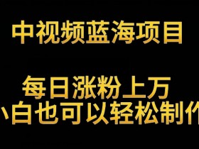 中视频蓝海项目，解读英雄人物生平，每日涨粉上万，小白也可以轻松制作，月入过万不是梦【揭秘】