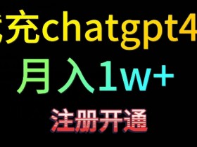 代充chatgpt4，日入500+，精准引流，暴力变现【揭秘】