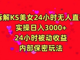 利用快手24小时无人美女直播，实操日入3000，24小时被动收益，内部保密玩法【揭秘】