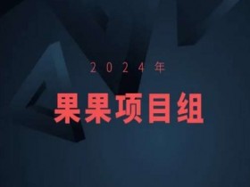 2024年果果项目组项目合集-果果最新项目