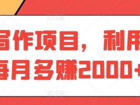 AI写作项目，利用ai每月多赚2000+