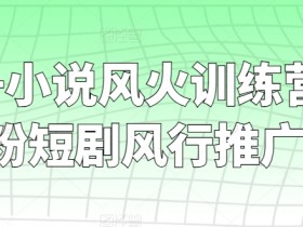 短剧+小说风火训练营，0粉短剧风行推广