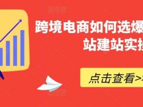跨境电商如何选爆品，独立站建站实操