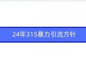 24年315暴力引流方针