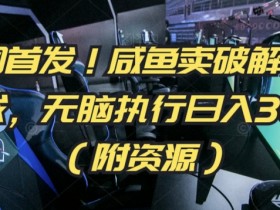全网首发！咸鱼卖破解版小游戏，无脑执行日入300+（附资源）【揭秘】