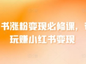 小红书涨粉变现必修课，带你玩赚小红书变现
