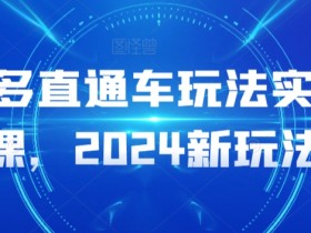 多多直通车玩法实操课，2024新玩法