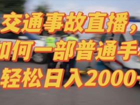 2024最新玩法半无人交通事故直播，实战式教学，轻松日入2000＋，人人都可做【揭秘】
