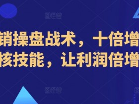 新营销操盘战术，十倍增长的内核技能，让利润倍增！