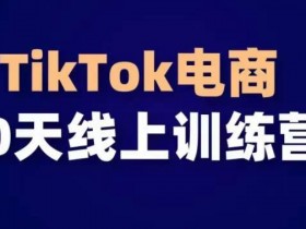 TikTok电商带货30天线上课，不可错过的全球流量洼地！