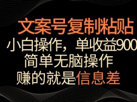 文案号掘金，简单复制粘贴，小白操作，单作品收益900+【揭秘】