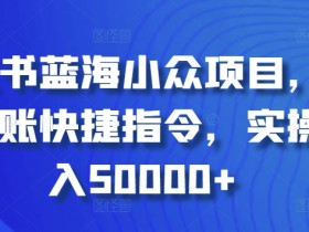 小红书蓝海小众项目，自动记账快捷指令，实操月入50000+【揭秘】