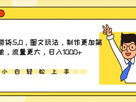 IP切片带货5.0，图文玩法，制作更加简单，流量更大，日入1000+【揭秘】