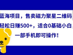蓝海项目，售卖磁力聚星二维码，轻松日赚500+，适合0基础小白，一部手机即可操作【揭秘】