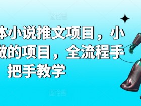 AI自媒体小说推文项目，小白也能做的项目，全流程手把手教学
