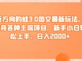 反方向的蛙3.0图文最新玩法，隐身各种主流项目，新手小白轻松上手，日入2000+【揭秘】