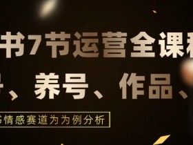 7节小红书运营实战全教程，结合最新情感赛道，打通小红书运营全流程【揭秘】