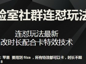 梅花实验室社群连怼玩法第七期，连怼玩法最新，改时长配合卡特效技术