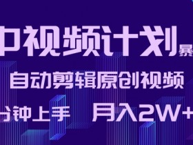 中视频计划暴力起号，自动剪辑原创视频，3分钟上手，月入2W+【揭秘】