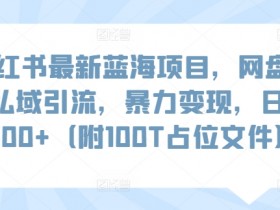 小红书最新蓝海项目，网盘扩容私域引流，暴力变现，日入1000+（附100T占位文件）【揭秘】