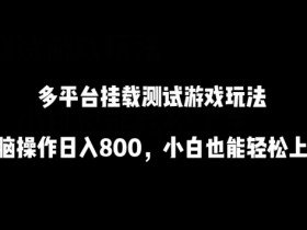 多平台挂载测试游戏玩法，无脑操作日入800，小白也能轻松上手【揭秘】