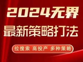 2024无界最新策略打法，拉搜索，高投产，多种策略