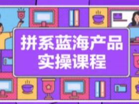 拼系冷门蓝海产品实操课程，从注册店铺到选品上架到流量维护环环相扣