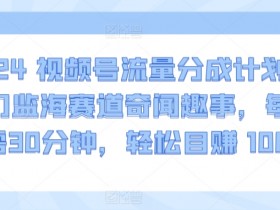 2024视频号流量分成计划，冷门监海赛道奇闻趣事，每天只需30分钟，轻松目赚 1000+【揭秘】