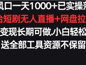 新风口一天1000+已实操落地购物平台短剧无人直播+网盘拉新+带货多种变现长期可做【揭秘】