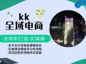 KK全域电商，全体系打造实操课，多平台打造电商逻辑体系