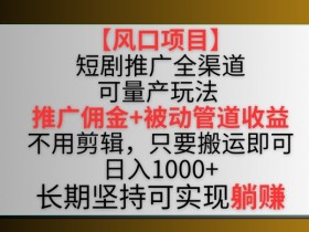 【风口项目】短剧推广全渠道最新双重收益玩法，推广佣金管道收益，不用剪辑，只要搬运即可【揭秘】