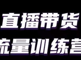 直播带货流量训练营，小白主播必学直播课