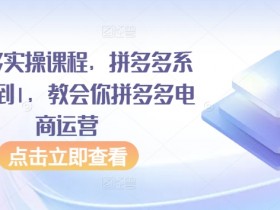 拼多多实操课程，拼多多系统从0到1，教会你拼多多电商运营