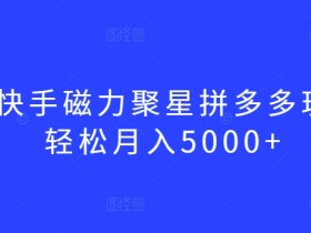最新快手磁力聚星拼多多玩法，轻松月入5000+【揭秘】