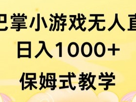 抖音最强风口，扇巴掌无人直播小游戏日入1000+，无需露脸，保姆式教学【揭秘】