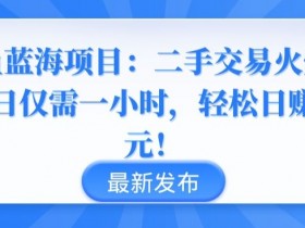 闲鱼蓝海项目：二手交易火爆，每日仅需一小时，轻松日赚千元【揭秘】