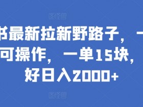 小红书最新拉新野路子，一部手机即可操作，一单15块，做得好日入2000+【揭秘】