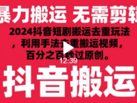 2024最新抖音搬运技术，抖音短剧视频去重，手法搬运，利用工具去重，达到秒过原创的效果【揭秘】