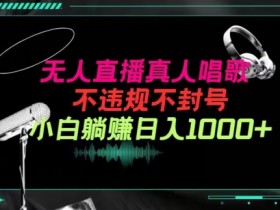 抖音24小时无人直播音乐，不违规，不封号纯撸音浪，小白实操当天日入1000+【揭秘】