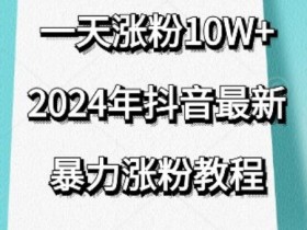 抖音最新暴力涨粉教程，视频去重，一天涨粉10w+，效果太暴力了，刷新你们的认知【揭秘】
