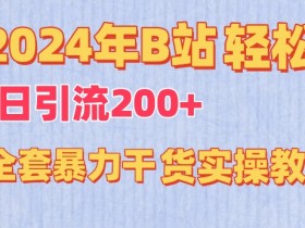 2024年B站轻松日引流200+的全套暴力干货实操教程【揭秘】