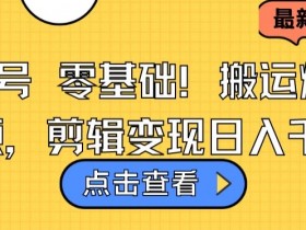 视频号零基础搬运爆款视频，剪辑变现日入千元【揭秘】