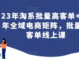 23年淘系批量高客单+24年全域电商矩阵，批量高客单线上课