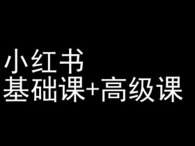 小红书基础课+高级课-小红书运营教程